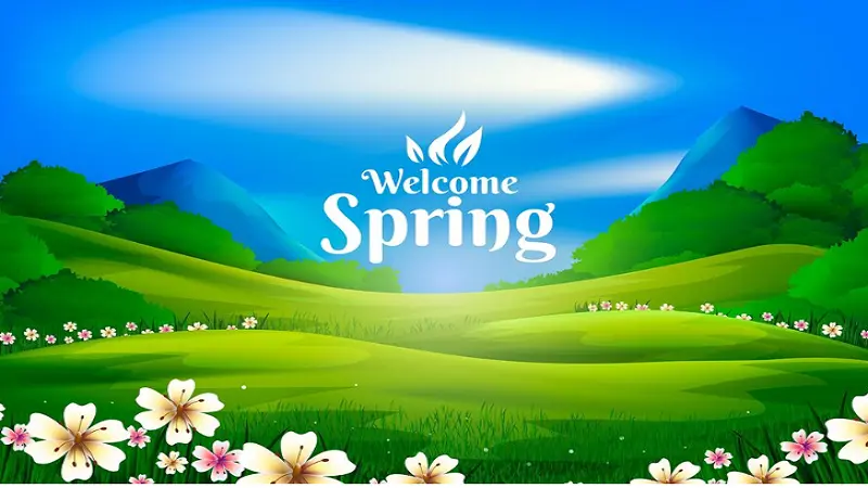 Title: Understanding Spring Hillmedgroup.com  Comprehensive