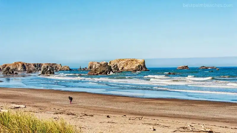 Exploring the Best Beaches in the USA West Coast by Syotravel